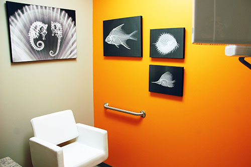 More Art - Pediatric Dentist in West Des Moines, IA