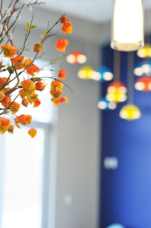 Decor - Pediatric Dentist in West Des Moines, IA